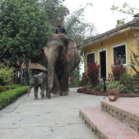 Hotel Sapana Village Lodge Читван Экстерьер фото