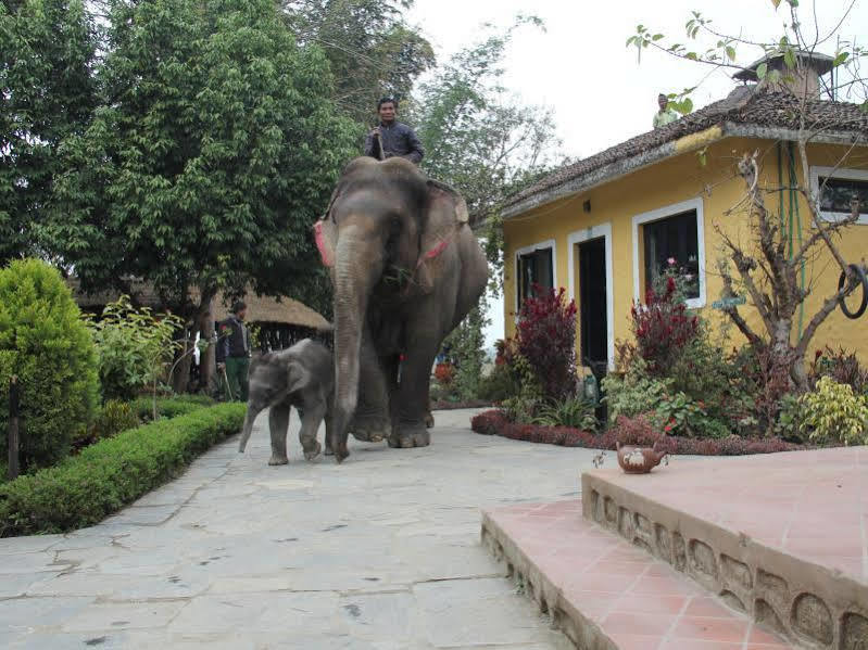 Hotel Sapana Village Lodge Читван Экстерьер фото